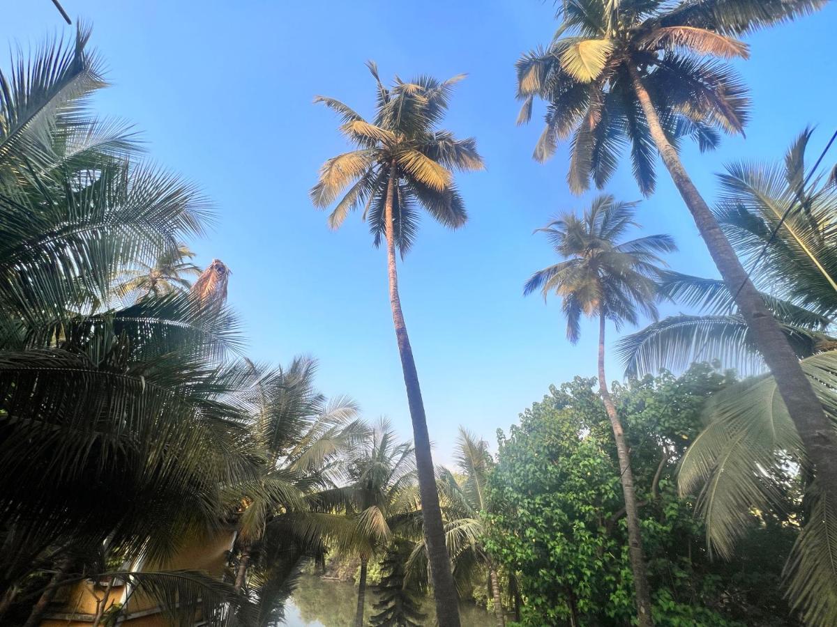 Kyel Villa Guest House Arambol Exterior photo